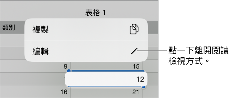 已選擇表格輸入格，其上方是包含「複製」和「編輯」按鈕的選單。