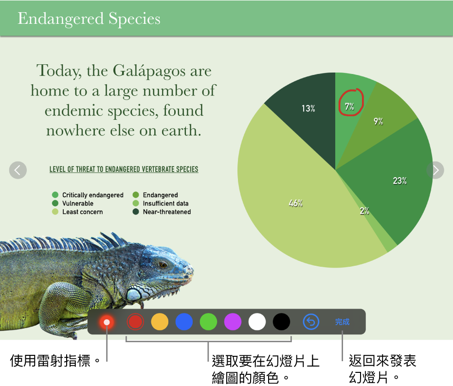 幻燈片圖解模式中的幻燈片顯示雷射筆和顏色選取控制項目。