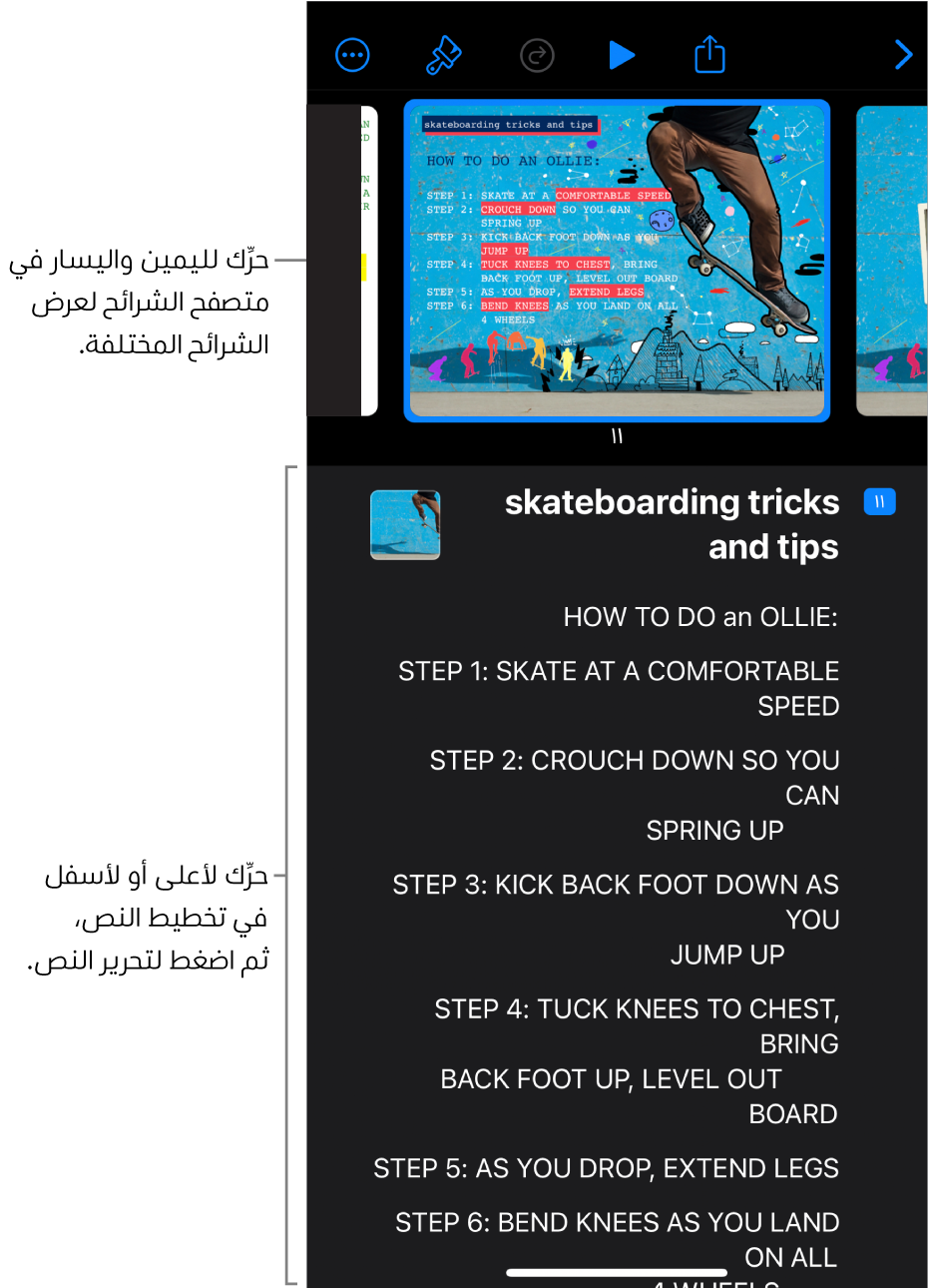 عرض التخطيط وبه متصفح الشرائح الأفقي في الجزء العلوي من الشاشة، والتخطيط النصي في الأسفل.