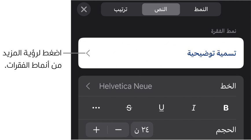 القائمة تنسيق تعرض عناصر التحكم في النص لإعداد أنماط الأحرف والفقرات والخط والحجم واللون.