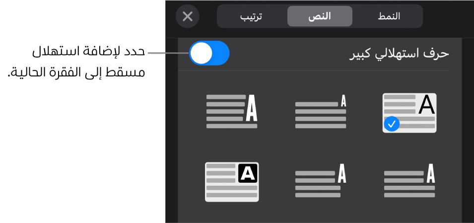 عناصر التحكم في الاستهلال المسقط الموجودة في الجزء السفلي من قائمة النص.