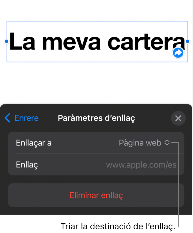Controls “Paràmetres d’enllaç” amb l’opció “Pàgina web” seleccionada i el botó “Eliminar enllaç” situat a la part inferior.