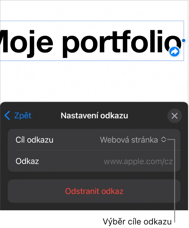 Ovládací prvky Nastavení odkazu s vybranou volbou Webová stránka a tlačítkem Odstranit odkaz v dolní části.