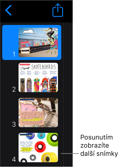 Navigátor snímků