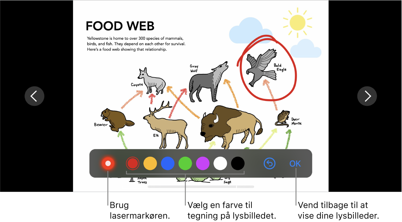 Et lysbillede med en illustration, der viser lasermarkøren og betjeningsmulighederne til valg af farve.