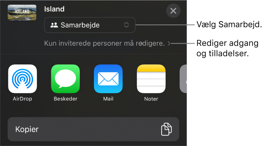Menuen Del med Samarbejde valgt øverst og adgangs- samt tilladelsesindstillinger nedenunder.