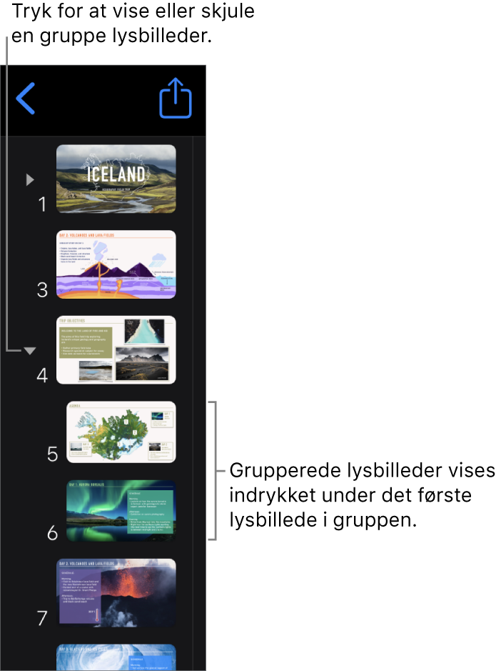 Lysbillednavigator, der viser indrykkede lysbilleder.