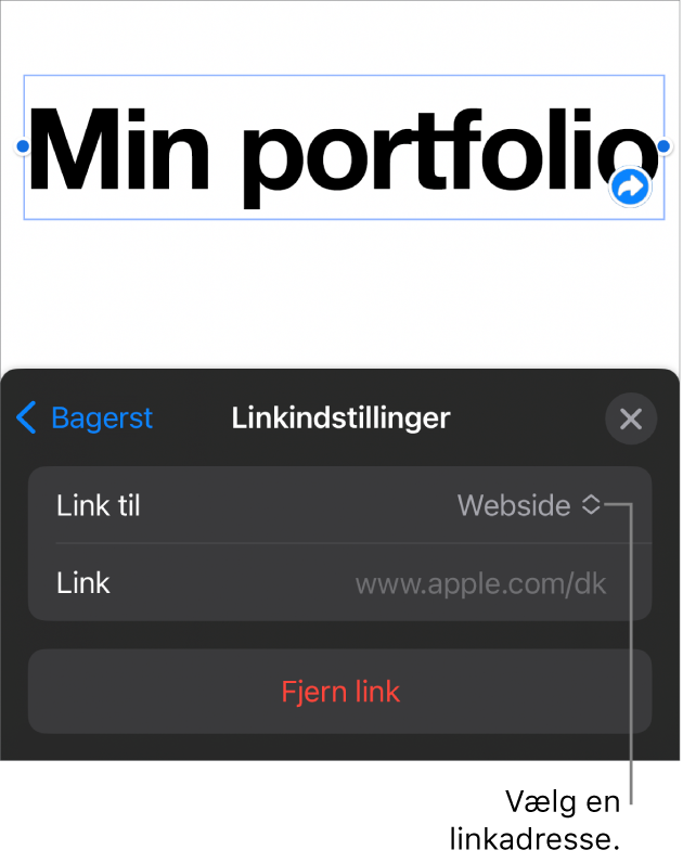 Webside er valgt i betjeningsmulighederne til Linkindstillinger, og nederst er knappen Åbn link.