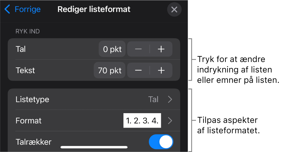 Menuen Rediger listeformat med betjeningsmuligheder til redigering af listens type og udseende.