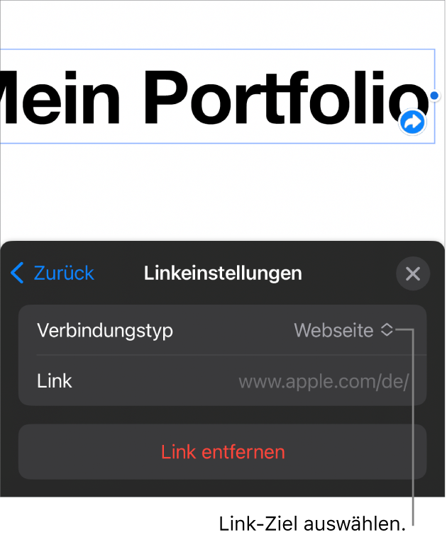 Die Steuerelemente der Linkeinstellungen mit ausgewählter Webseite und der Taste „Link entfernen“ unten.