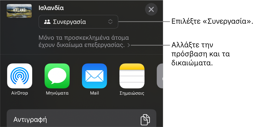 Το μενού «Κοινή χρήση» με επιλεγμένη τη «Συνεργασία» στο πάνω μέρος, και ρυθμίσεις πρόσβασης και δικαιωμάτων από κάτω.
