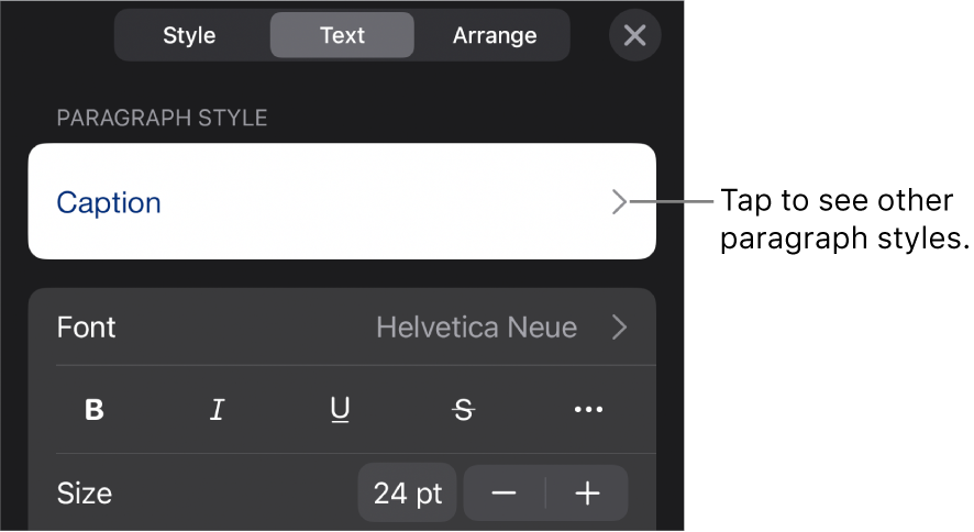 The Format menu showing text controls for setting paragraph and character styles, font, size and colour.