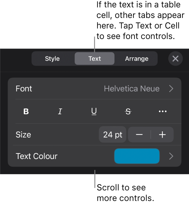 Text controls in the Format menu for setting paragraph and character styles, font, size and colour.