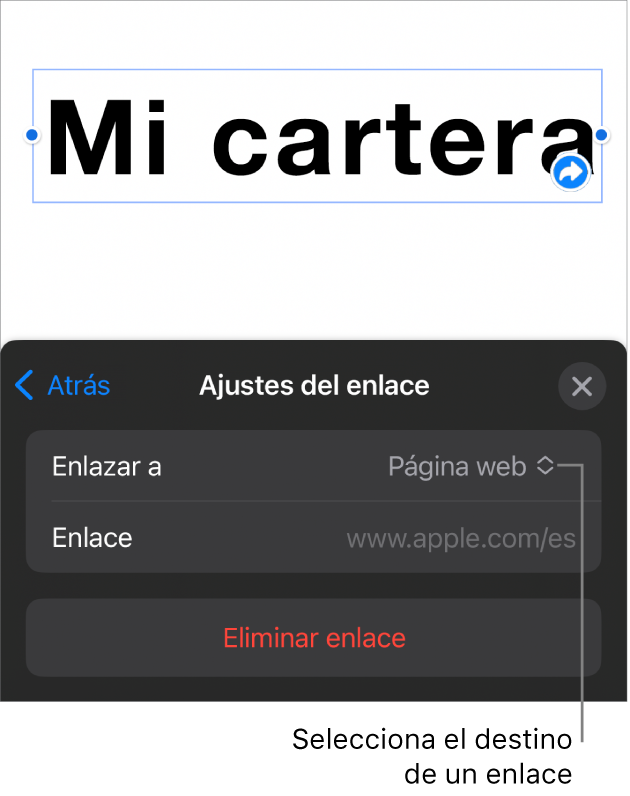 Controles de “Ajustes de enlace” con la opción “Página web” seleccionada y el botón “Eliminar enlace” en la parte inferior.