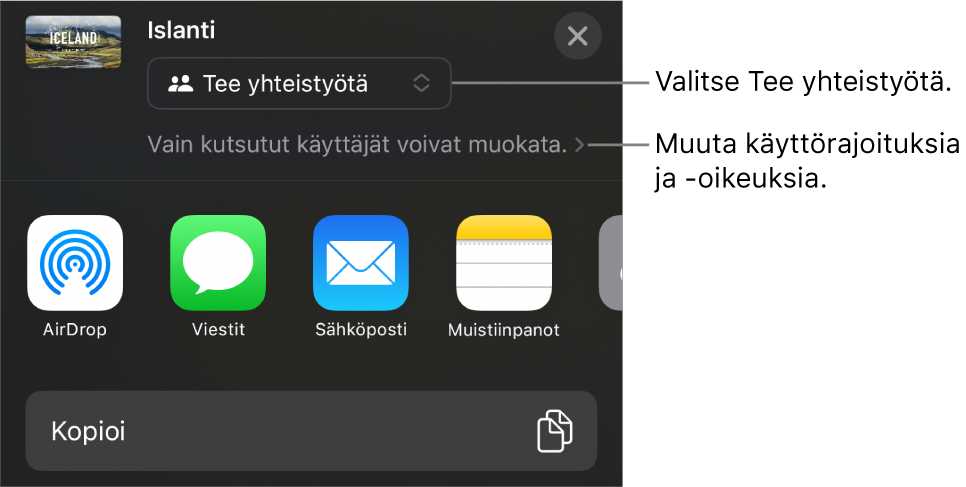 Jaa-valikko, jossa on ylhäällä valittuna Tee yhteistyötä, ja sen alla ovat käyttöoikeus- ja lupa-asetukset.