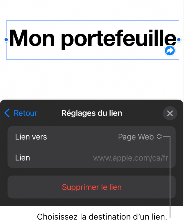 Les commandes Réglages du lien avec l’option Page Web sélectionnée au-dessus des boutons Supprimer et Supprimer le lien.