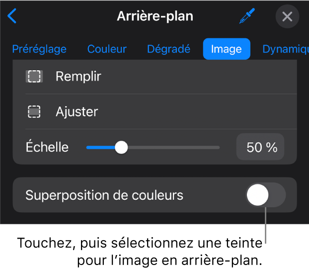 Les commandes Arrière-plan avec une image réglée comme arrière-plan des diapositives et la commande Superposition de couleurs au bas.