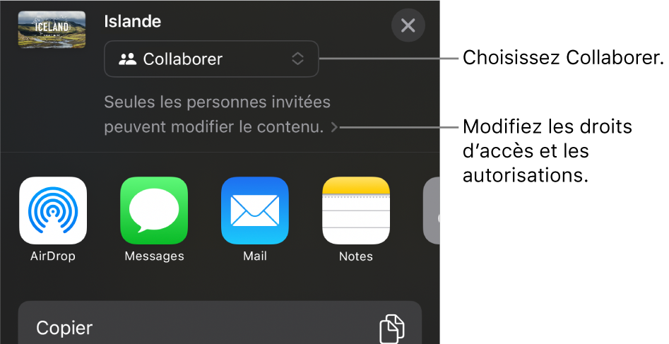 Le menu Partager avec l’option Collaborer sélectionnée dans le haut, au-dessus des réglages d’accès et d’autorisation.