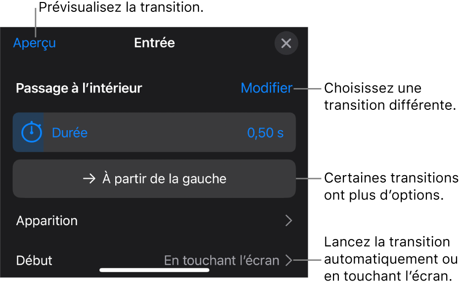 Commandes de la sous-fenêtre Options pour modifier une transition.