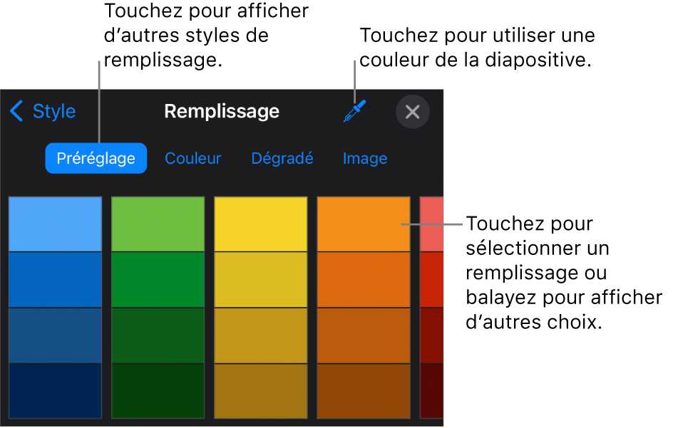 Options de remplissage dans l’onglet Style.