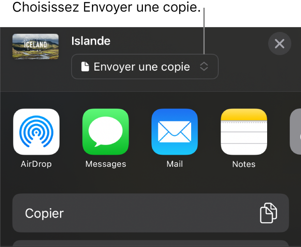 Le menu Partager avec l’option Envoyer une copie sélectionnée dans le haut.