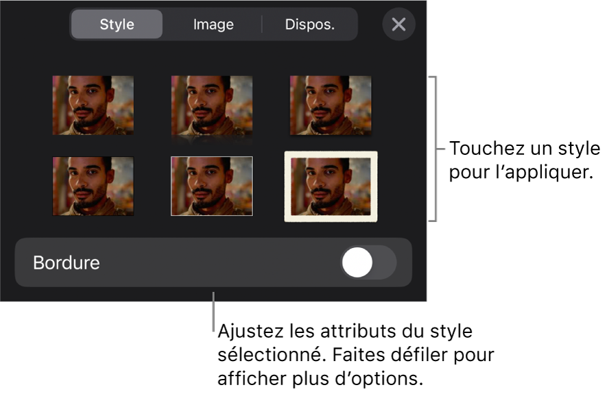 Onglet Style du menu Format avec des styles d’objet en haut et, en dessous, une commande de modification de bordure.
