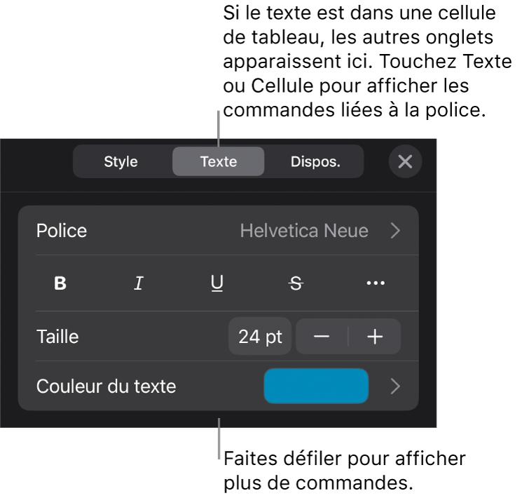Commandes de texte du menu de format permettant de définir les styles, la police, la taille et la couleur des paragraphes et des caractères.