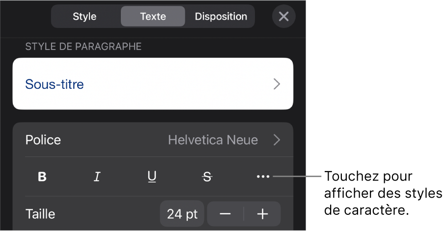 Les commandes de mise en forme avec les styles de paragraphe en haut, suivis des commandes de police. En dessous de Police se trouvent les boutons Gras, Italique, Souligné, Barré et « Plus d’options de texte ».