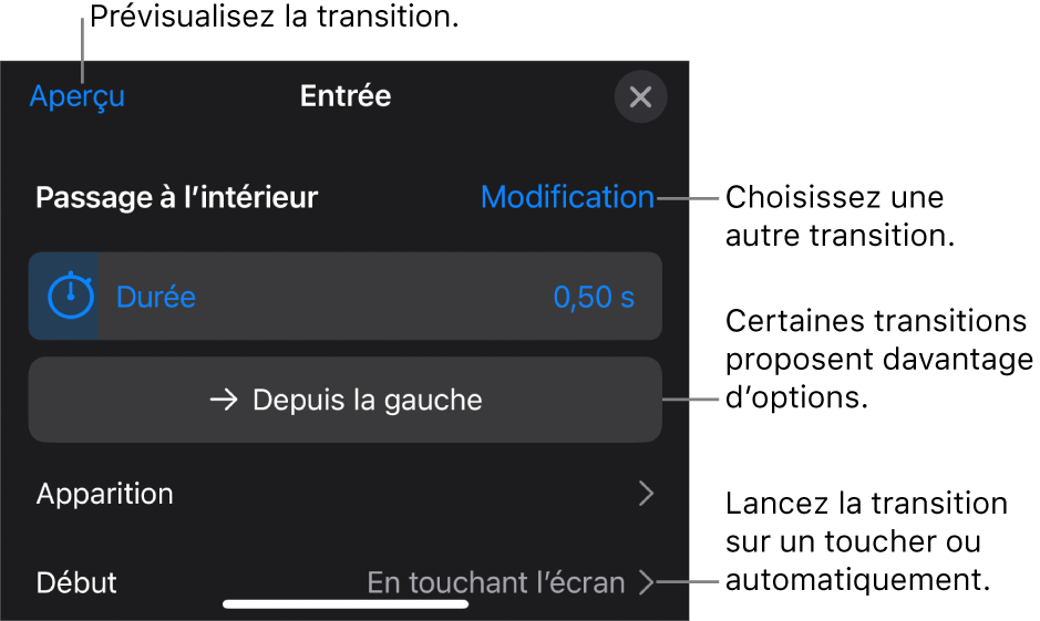 Commandes de la sous-fenêtre Options permettant de modifier une transition.