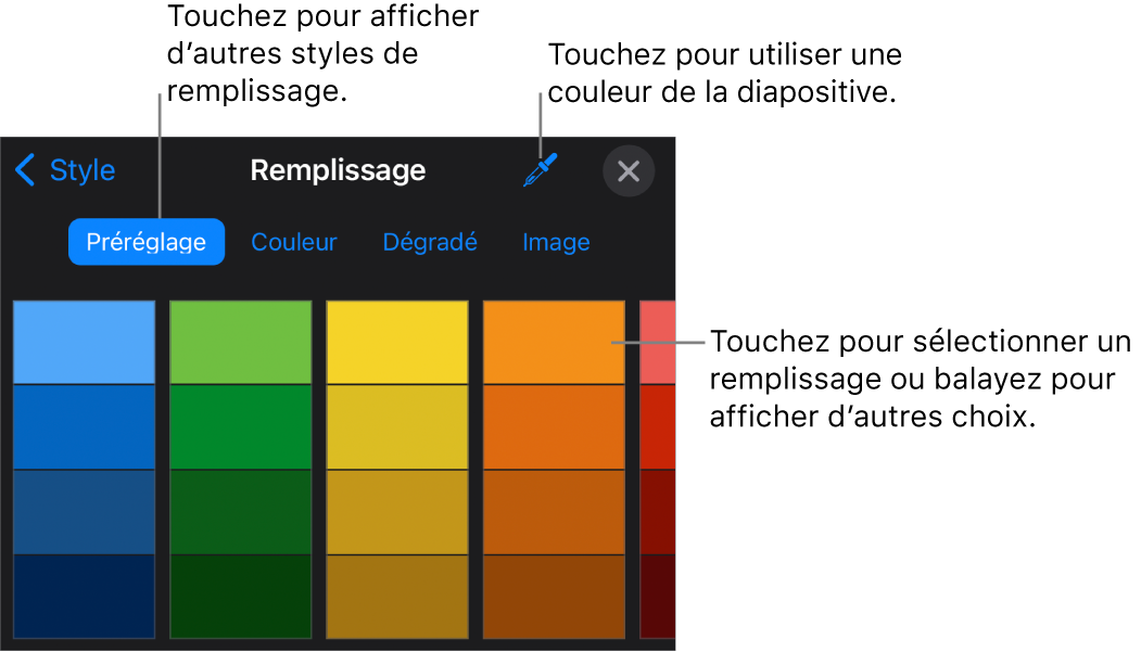 Options de remplissage dans l’onglet Style.