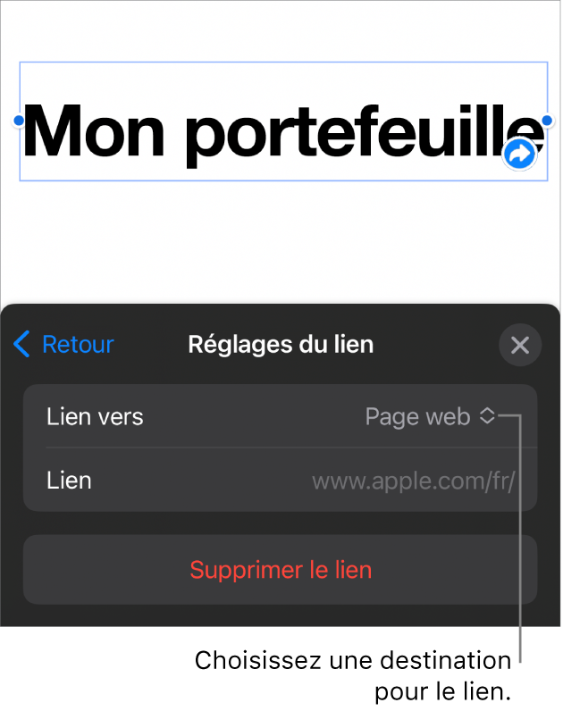 Les commandes Réglages du lien avec une page web sélectionnée et le bouton Supprimer le lien en bas.