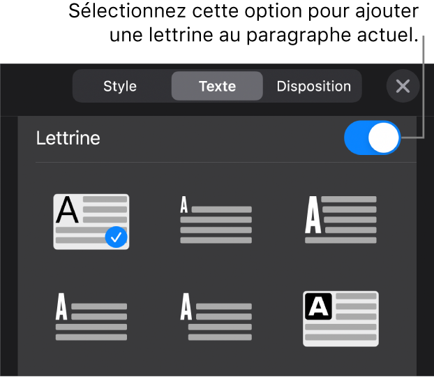 Les commandes Lettrine situées en bas du menu Texte.