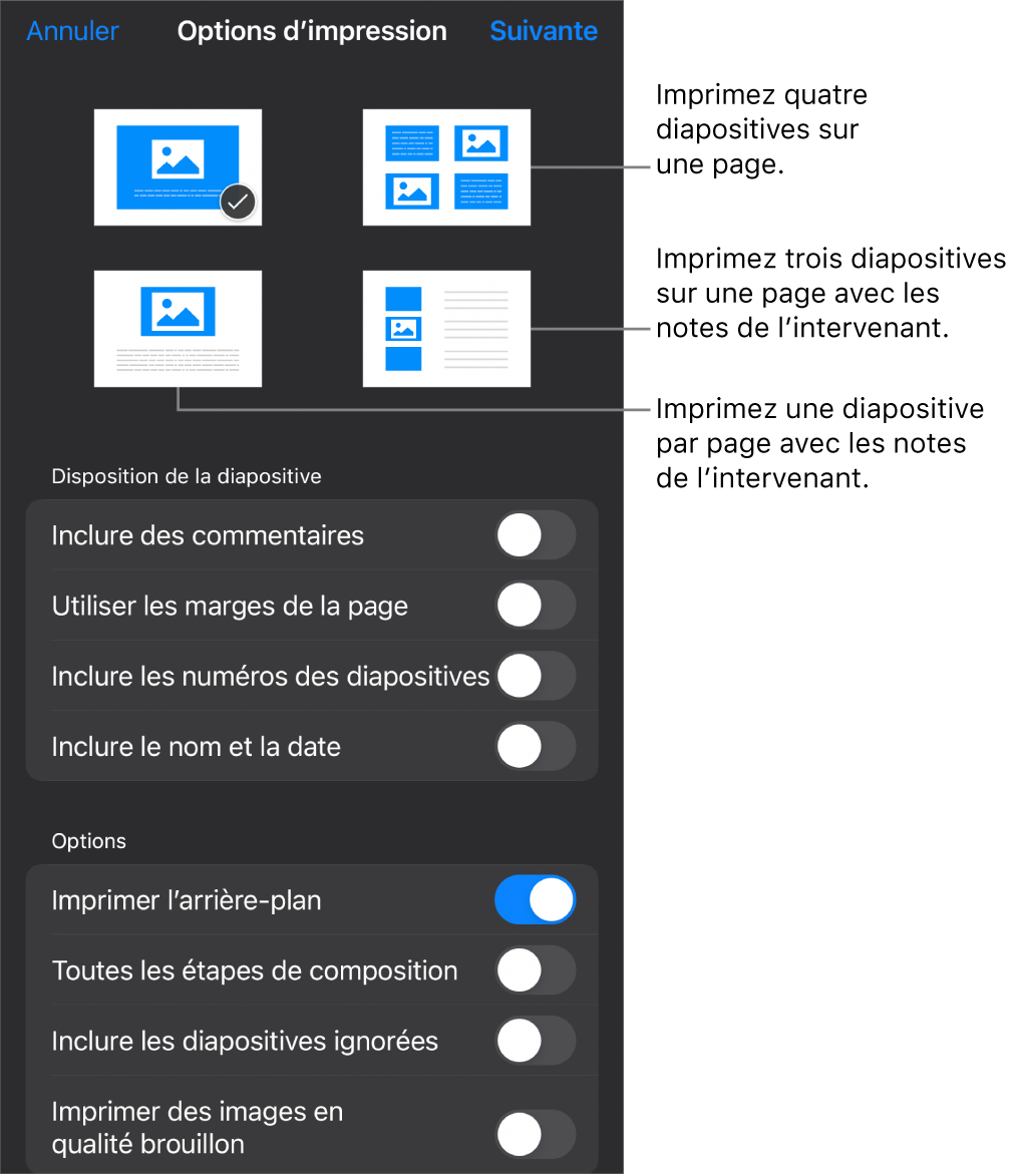 Options de disposition d’impression.