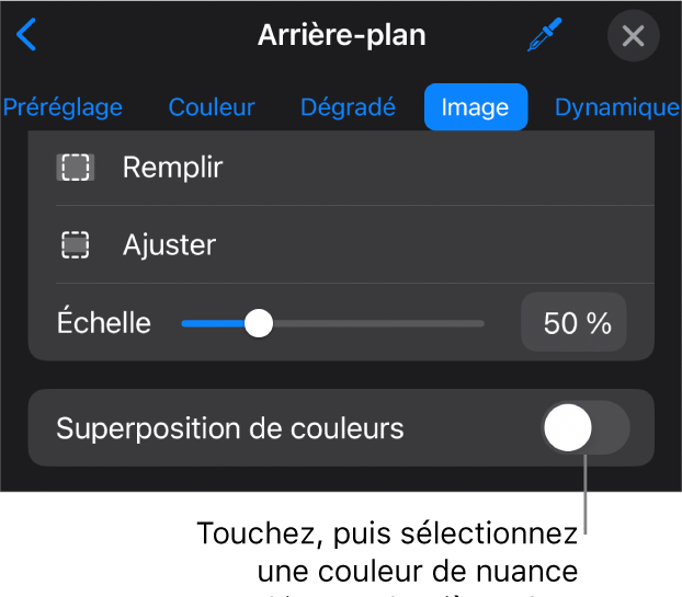 Les commandes Arrière-plan avec une image définie comme arrière-plan de la diapositive et la commande Superposition de couleurs en bas.