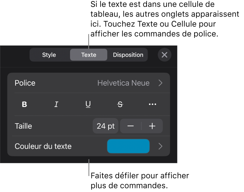 Commandes de texte du menu Format permettant de définir les styles, la police, la taille et la couleur des paragraphes et des caractères.