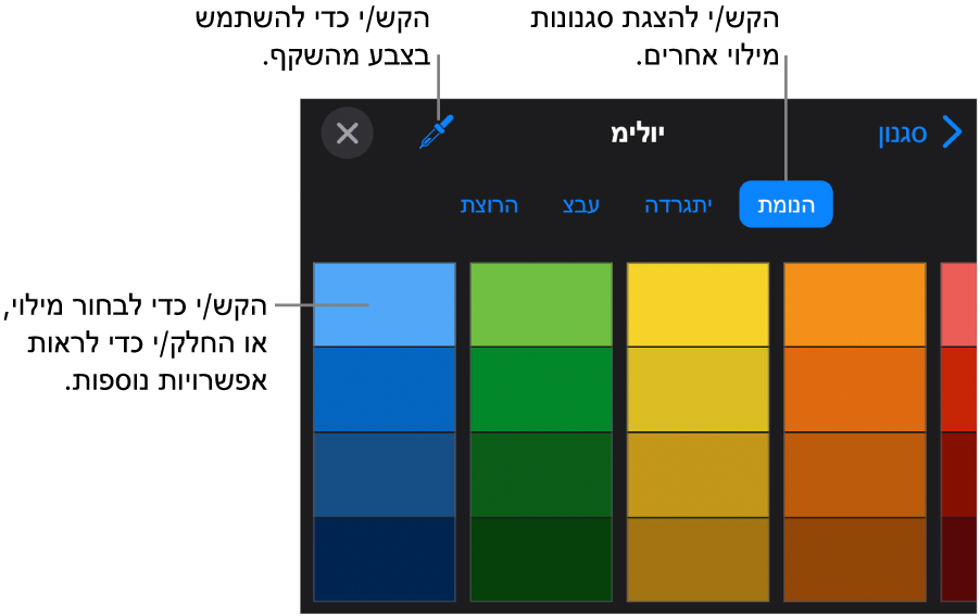 אפשרויות מילוי בכרטיסיה ״סגנון״.