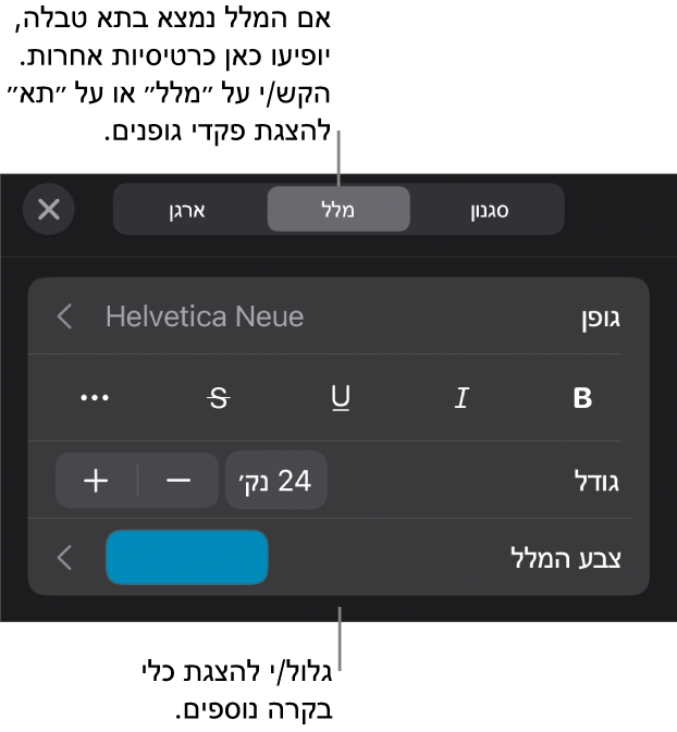 כלי בקרה של מלל בתפריט ״עיצוב״ להגדרת סגנונות, גופן, גודל וצבע עבור פיסקאות ותווים.