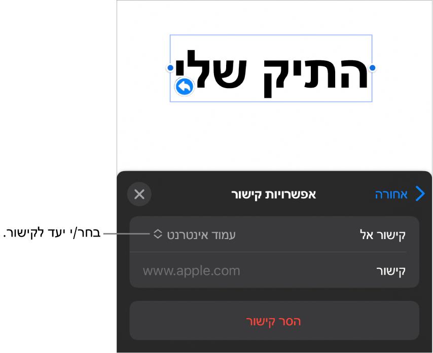 כלי הבקרה של ״אפשרויות קישור״ כאשר האפשרות ״עמוד אינטרנט״ נבחרת ובחלק התחתון מוצג הכפתור ״הסר קישור״.