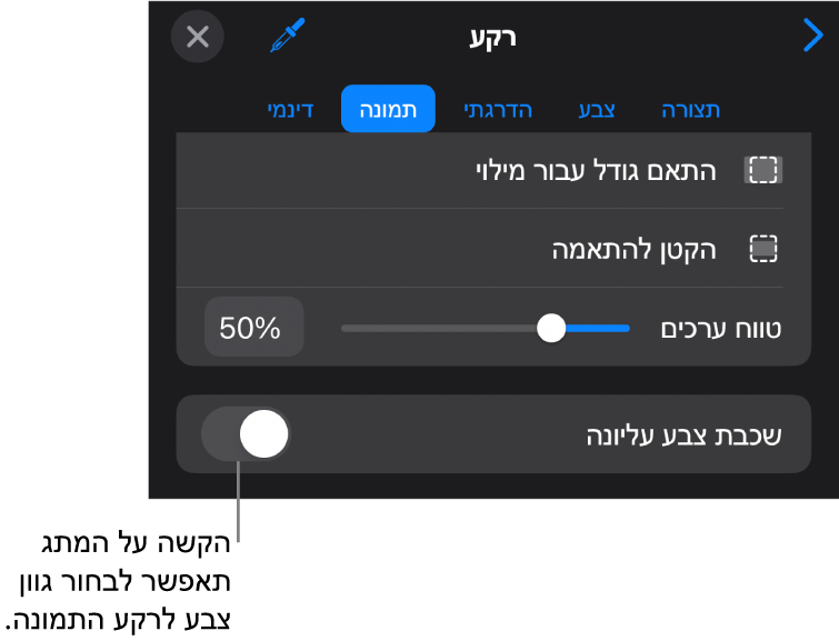 כלי הבקרה של ״רקע״, עם תמונה שמוגדרת כרקע של השקף. בחלק התחתון נמצא כלי הבקרה ״כיסוי בצבע״.