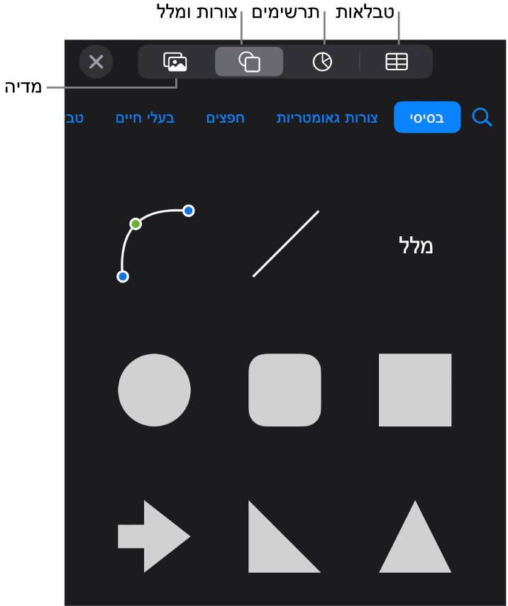 כלי הבקרה להוספת אובייקט, עם כפתורים בחלק העליון לבחירת טבלאות, תרשימים, צורות (כולל קווים ותיבות מלל) ומדיה.