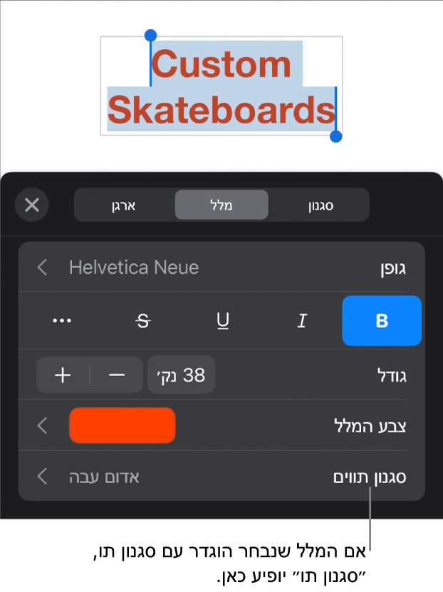 כלי הבקרה לעיצוב מלל עם ״סגנון תווים״ מתחת לכלי הבקרה של צבעים. סגנון התווים ״ללא״ מופיע עם כוכבית.
