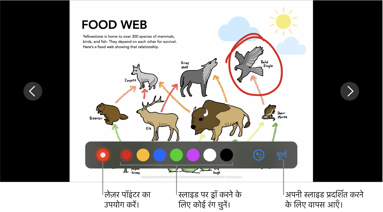 लेजर पॉइंटर और रंग चयन नियंत्रण दिखाता स्लाइड दृष्टांत मोड में स्लाइड।