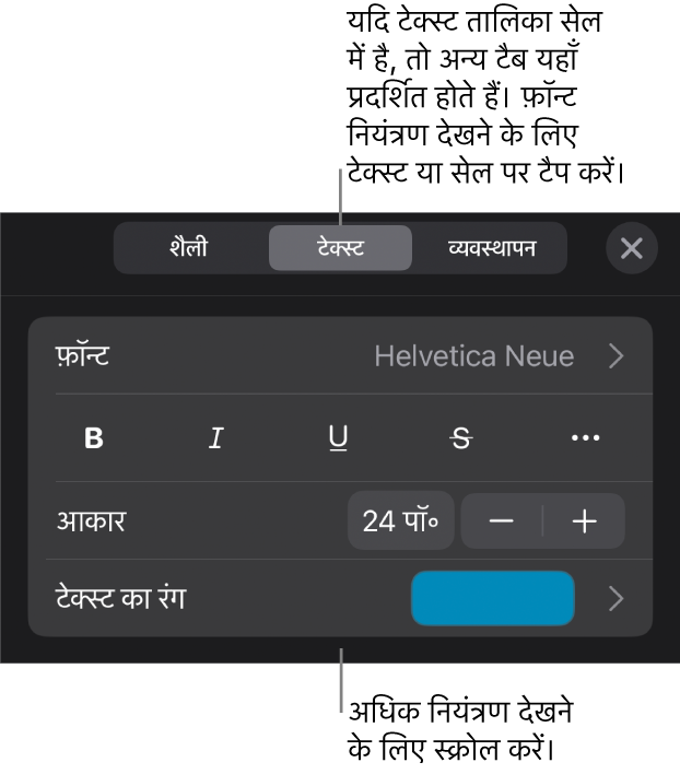 “फ़ॉर्मैट” मेनू में अनुच्छेद सेटिंग और वर्ण शैली, फ़ॉन्ट, आकार और रंग के लिए टेक्स्ट नियंत्रण।