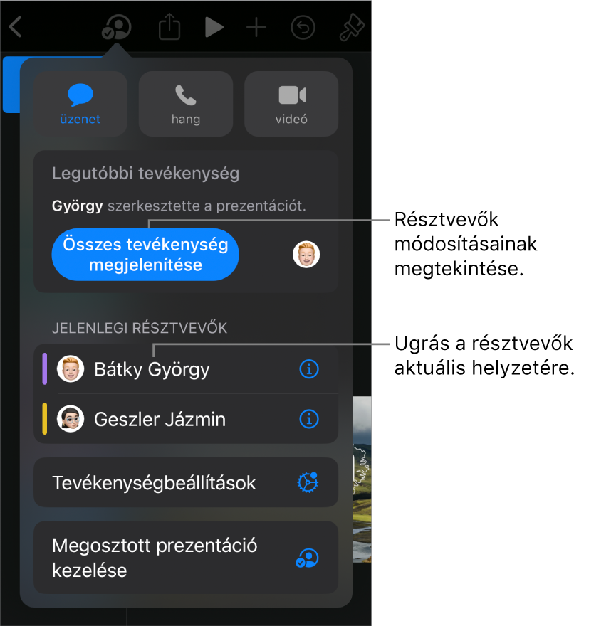 Az együttműködési menü a jelenlegi résztvevőkkel.