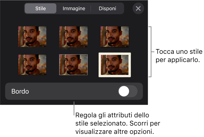 Pannello Stile del menu Formato con gli stili dell'oggetto in alto e un controllo sottostante per cambiare il bordo.