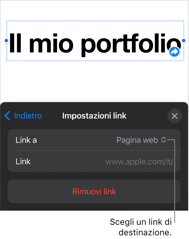 I controlli delle impostazioni dei link con la pagina web selezionata e con il pulsante per rimuovere il link mostrato in basso.