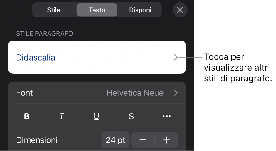 Menu Formato con controlli di testo per impostare stili carattere e paragrafo, font, dimensione e colore.