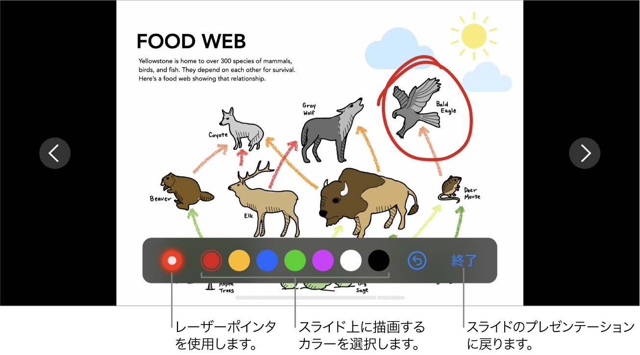 スライドの描画モードのスライド。レーザーポインタおよびカラー選択コントロールが表示された状態。