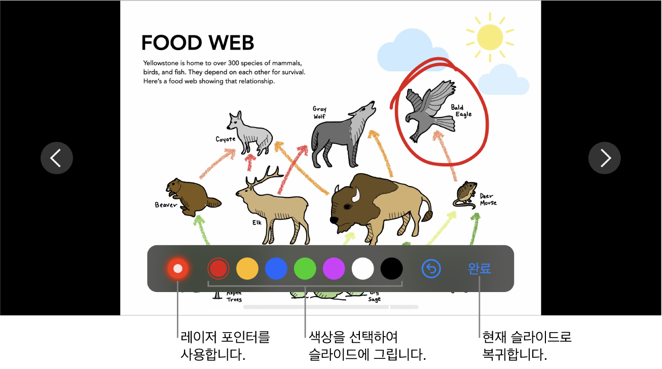레이저 포인터 및 색상 선택 제어기를 보여주는 슬라이드 일러스트레이션 모드의 슬라이드.