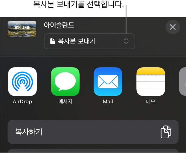 상단에 복사본 보내기가 선택되어 있는 공유 메뉴.